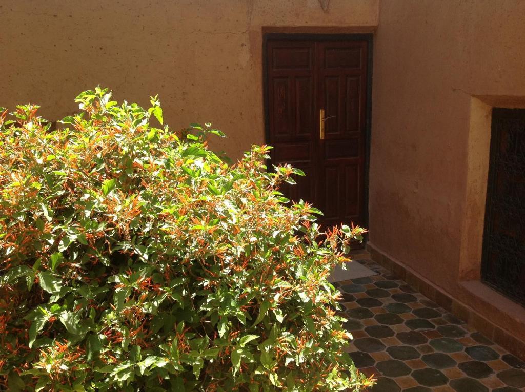 Riad Timadrouine Timatraouine Chambre photo
