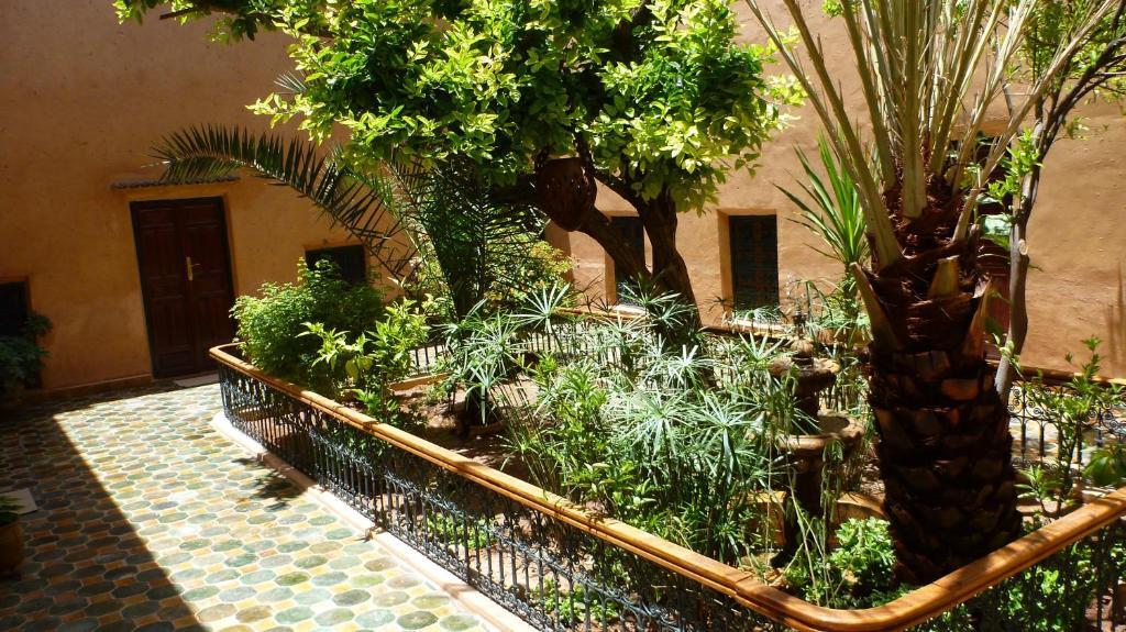 Riad Timadrouine Timatraouine Extérieur photo